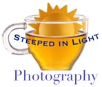 SiL logo 01.jpg